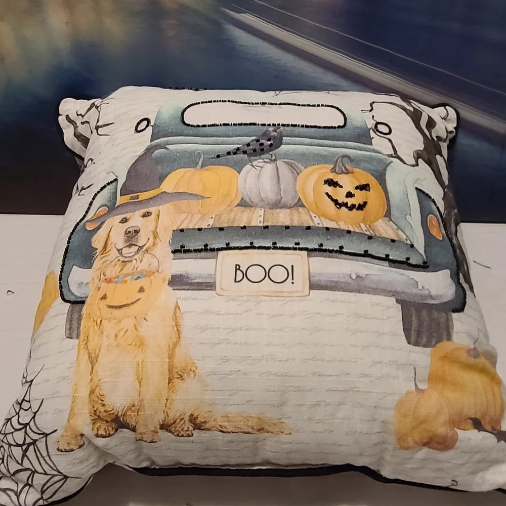 HALLOWEEN PILLOW *Host Pick*